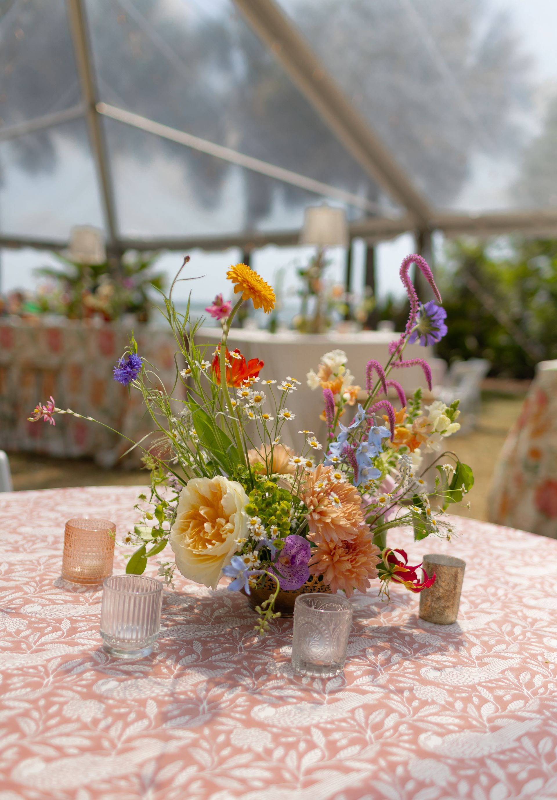 Laura Huffman Photography