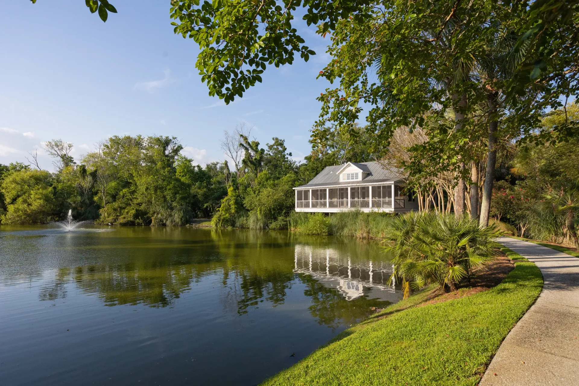 Lagoon View Cottage with peaceful view surrounded by trees