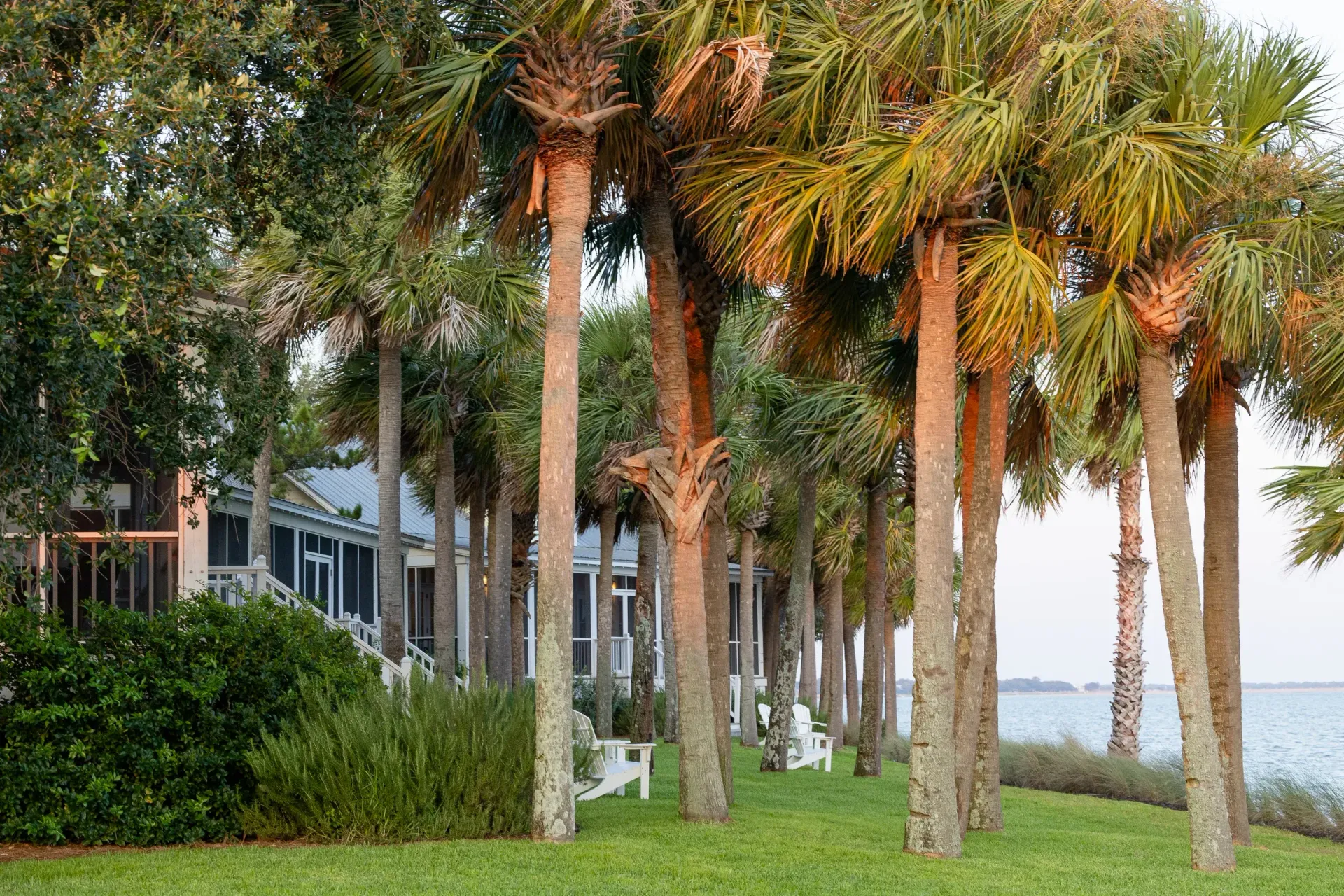 Palm trees swing in the breeze on the Charleston Harbor near The Cottages