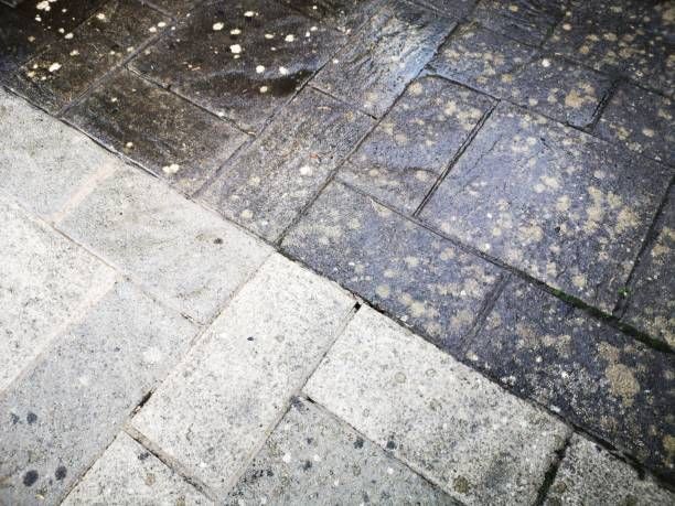 Pavement Pressure Washing - Bloomfield, NJ - Outdoor Softwash & Mobile Detailing