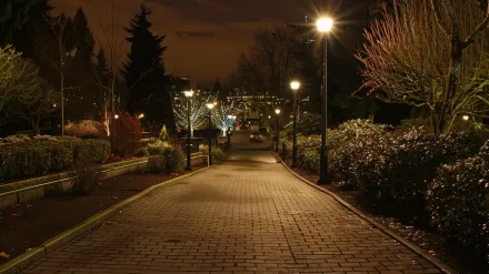 A festive atmosphere is created by colorful RGB bistro lights from our Coquitlam landscape lighting company, perfect for a party in Westwood Plateau. Keywords: RGB lighting, bistro lights, party lights, outdoor lighting.