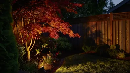 Before and after a complete Coquitlam landscape lighting transformation. This landscape lighting Coquitlam project in Ranch Park turned a dark yard into an oasis. The power of professional outdoor lighting. Keywords: landscape transformation, backyard lighting, Coquitlam landscape lighting.