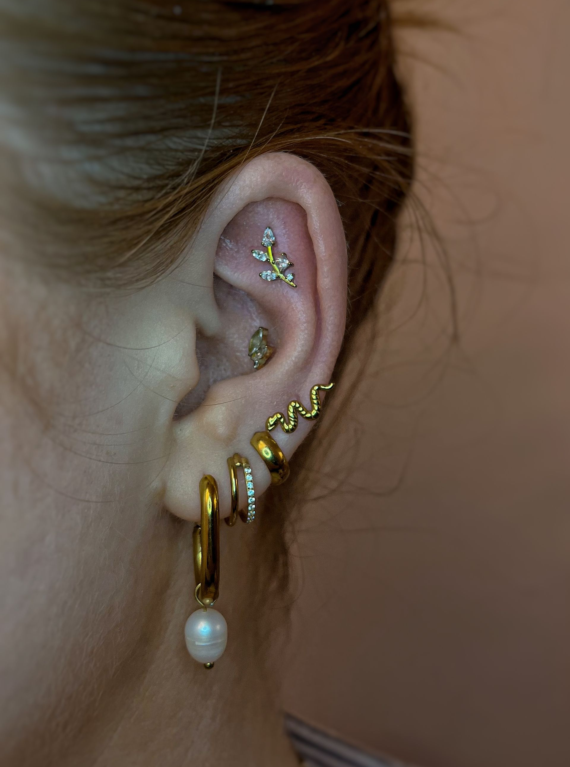 Ear with multiple gold earrings and piercings, including a snake design and a pearl.