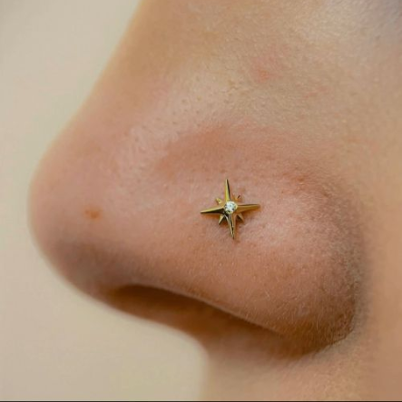 Close-up of a person's nose with a gold star-shaped nose stud.