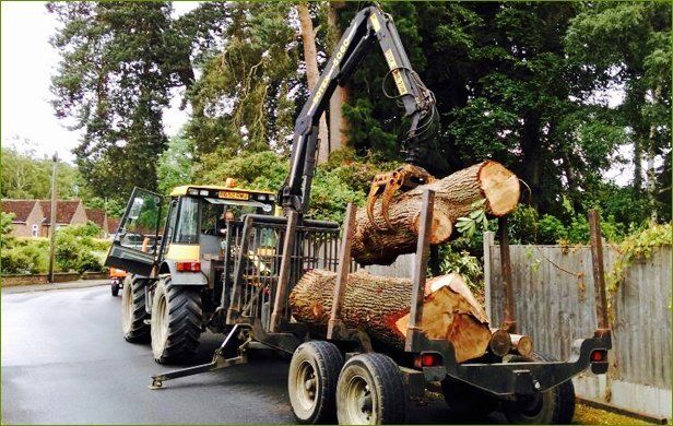 logs being transported