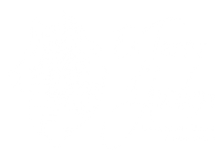 logo Gwndoline Didier Psychologue