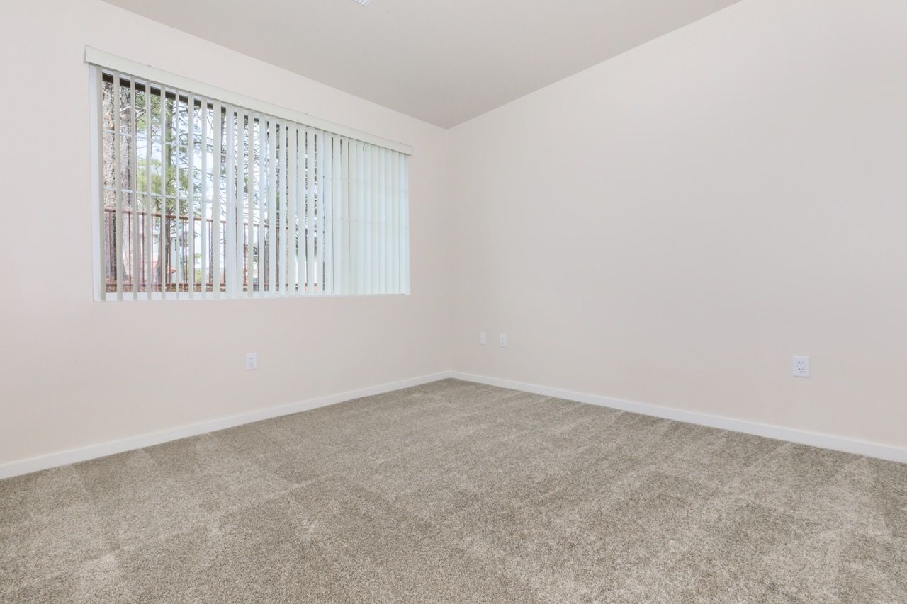Empty beige room with carpet and a window with vertical blinds.