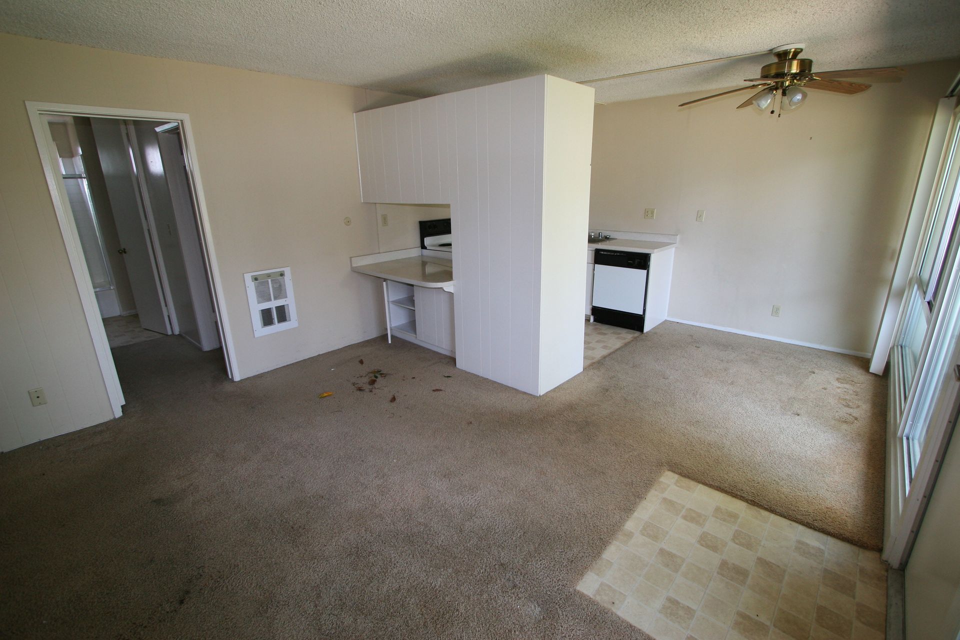 dirty, carpeted apartment