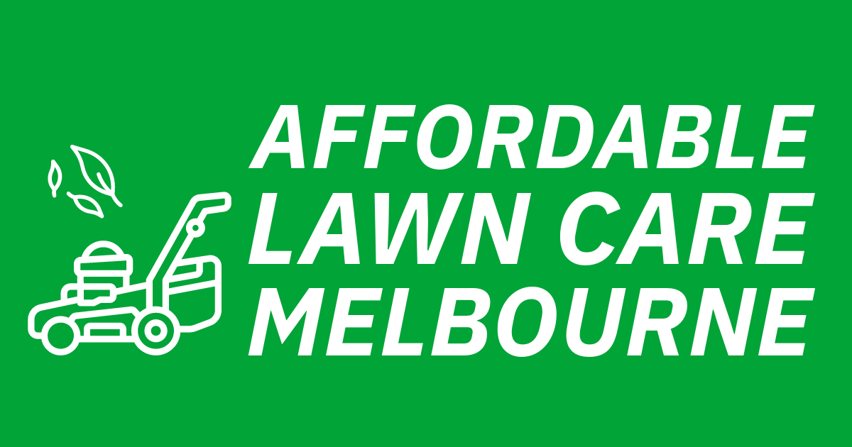Lawn Care Melbourne Expert Solutions for Your Yard