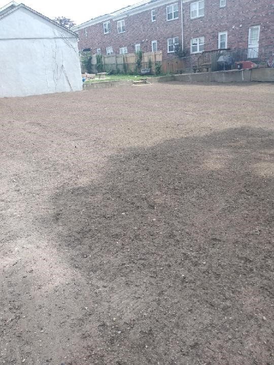 After Bamboo Removal — Long Island, NY — Bamboo Removal and Landscaping Design in Long Island by Jose Benitez