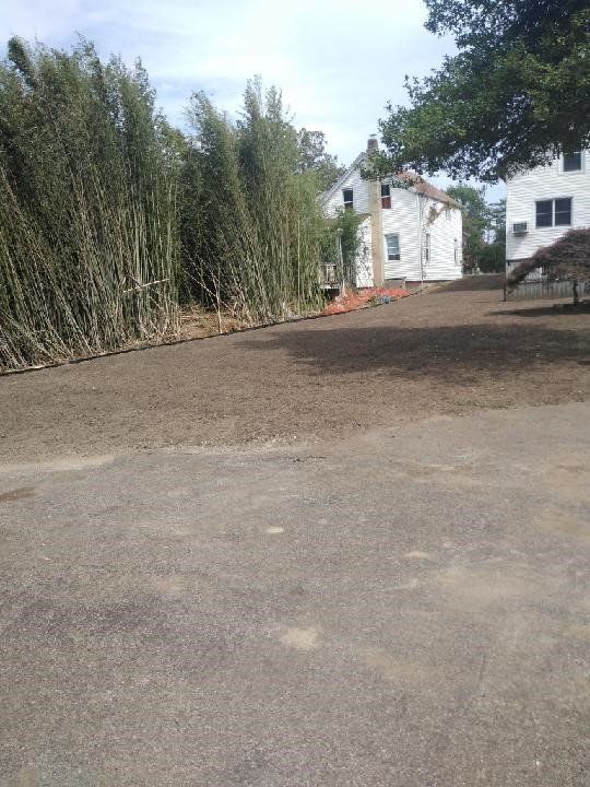 Bamboo Removal Job — Long Island, NY — Bamboo Removal and Landscaping Design in Long Island by Jose Benitez