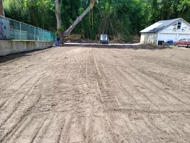 Before Bamboo Removal — Long Island, NY — Bamboo Removal and Landscaping Design in Long Island by Jose Benitez