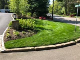 Beautiful Landscaping Work — Long Island, NY — Bamboo Removal and Landscaping Design in Long Island by Jose Benitez