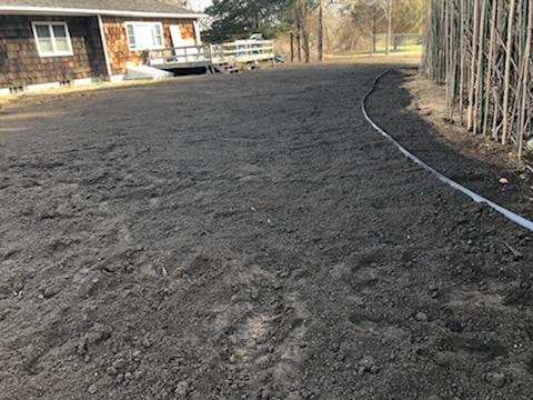 Clean Area — Long Island, NY — Bamboo Removal and Landscaping Design in Long Island by Jose Benitez