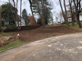 Clean Lawn — Long Island, NY — Bamboo Removal and Landscaping Design in Long Island by Jose Benitez