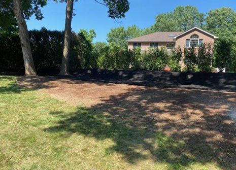 Bamboo Removal — Long Island, NY — Bamboo Removal and Landscaping Design in Long Island by Jose Benitez