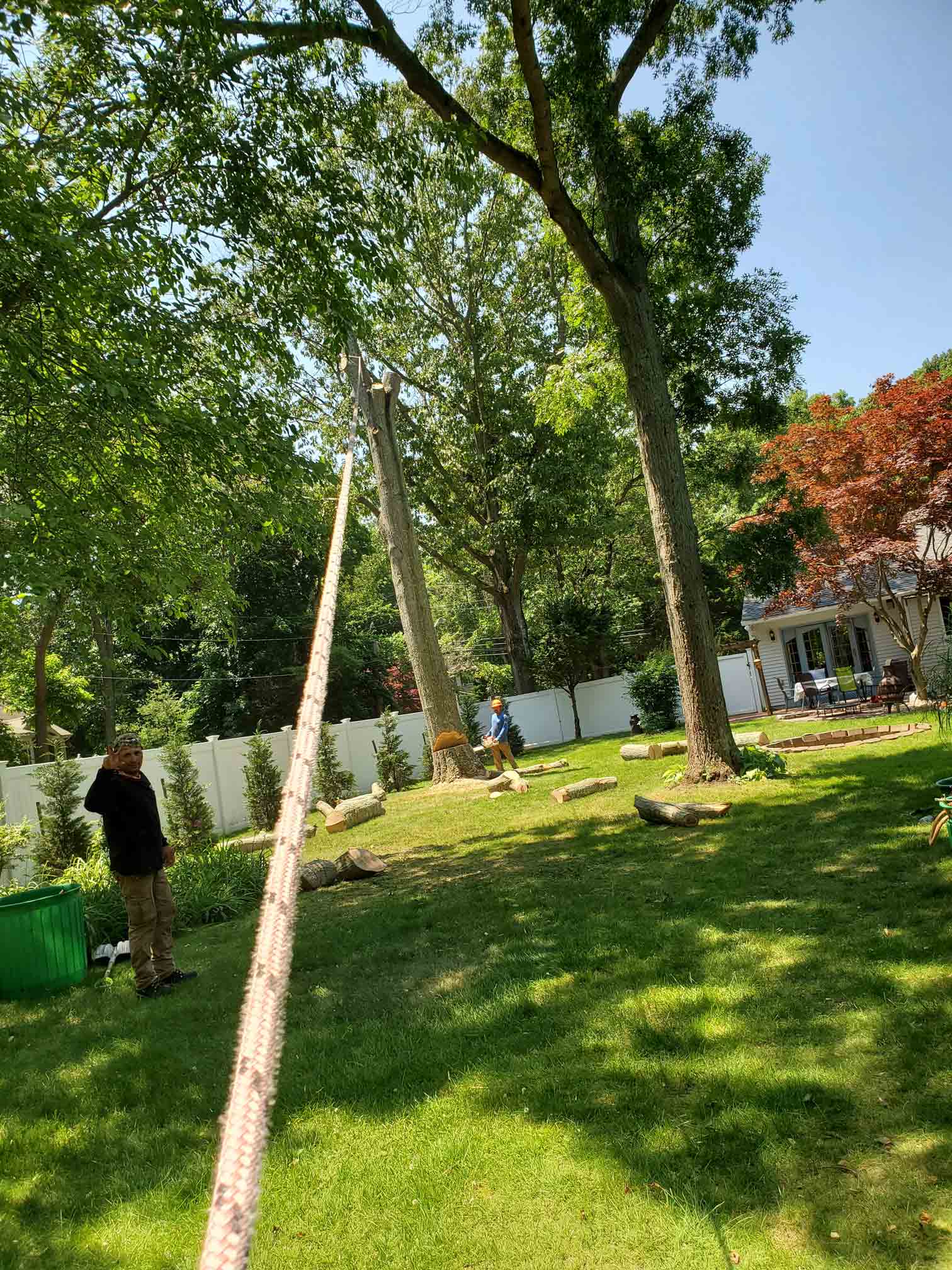 Workers — Long Island, NY — Bamboo Removal and Landscaping Design in Long Island by Jose Benitez