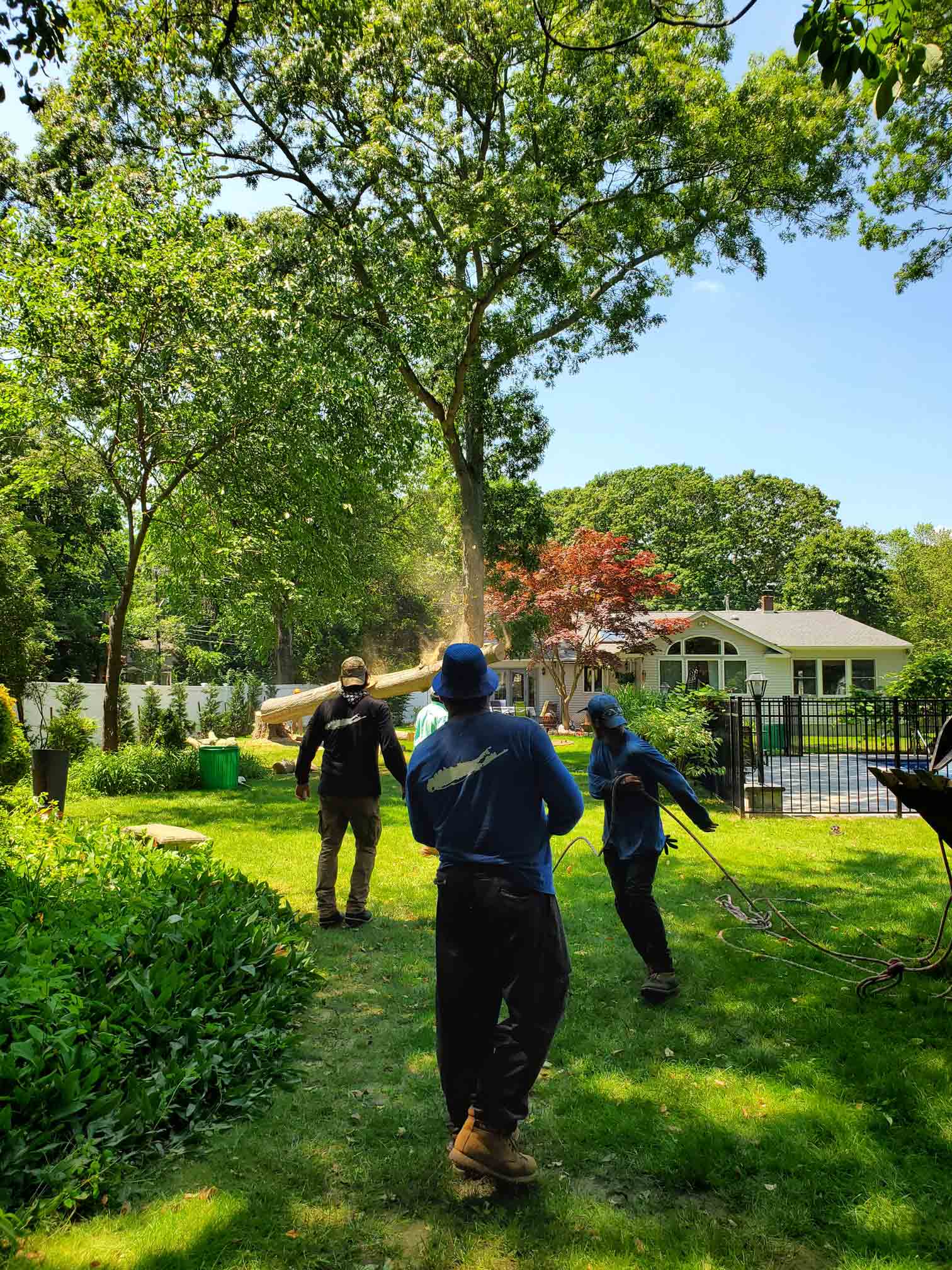 Workers Removing Bamboos — Long Island, NY — Bamboo Removal and Landscaping Design in Long Island by Jose Benitez