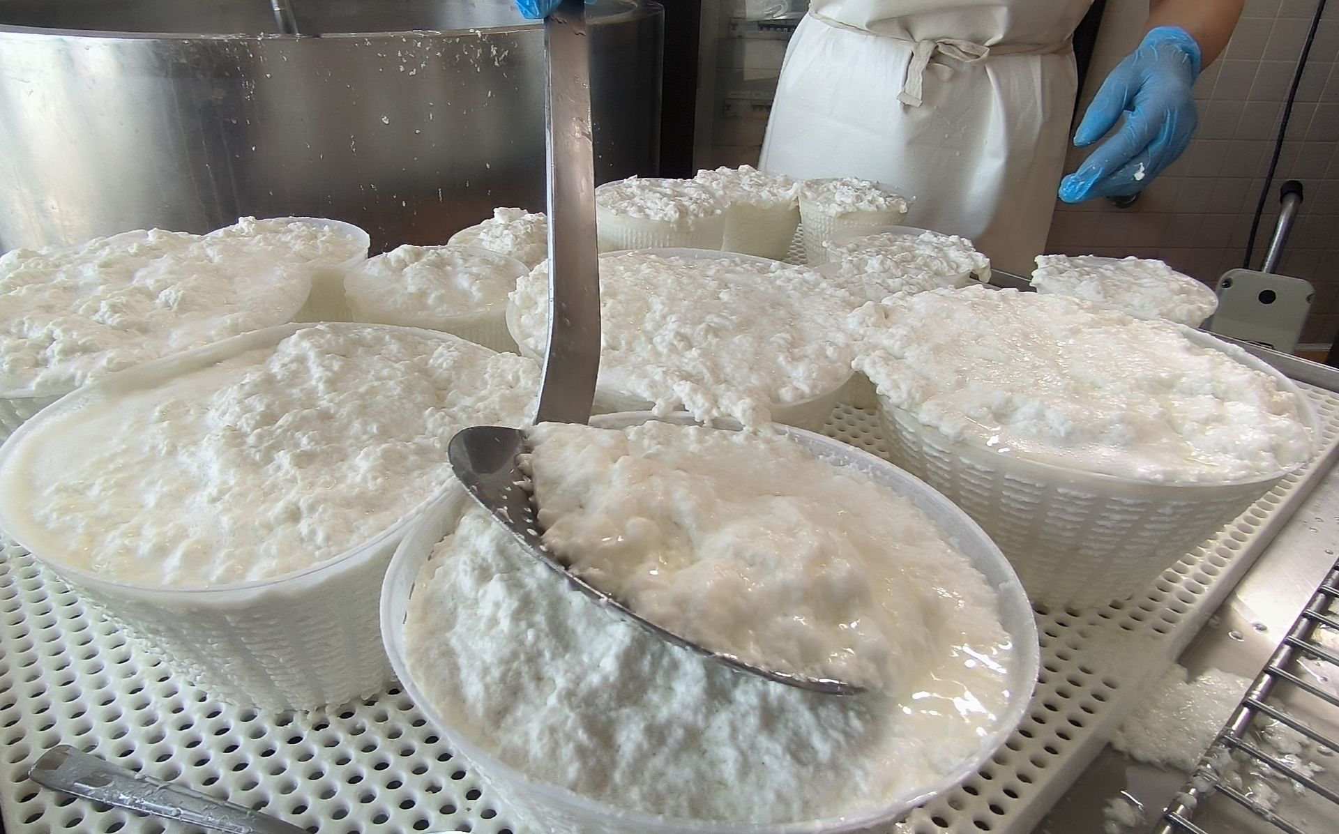 Formaggio in cestelli