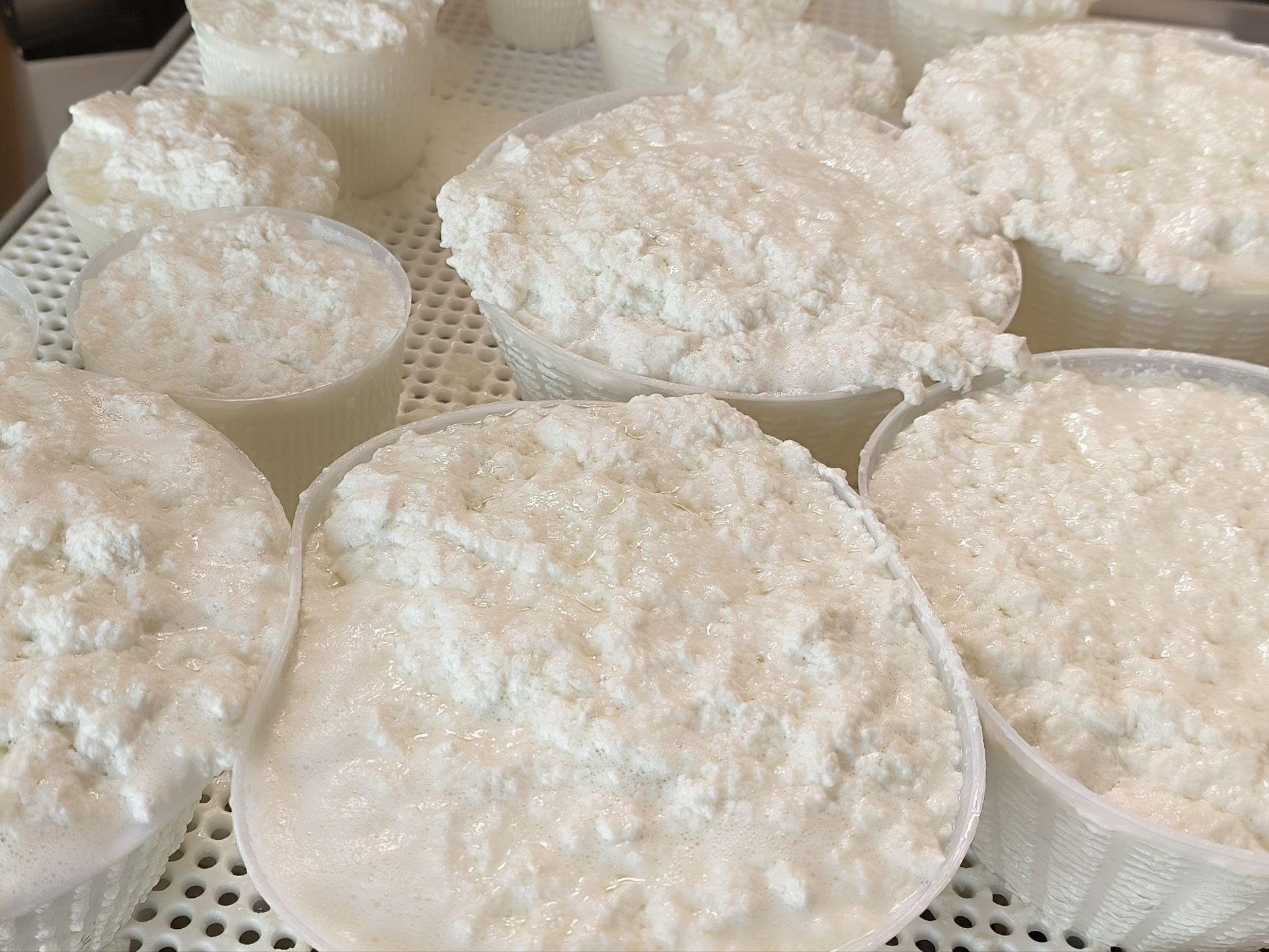 Produzione di formaggi