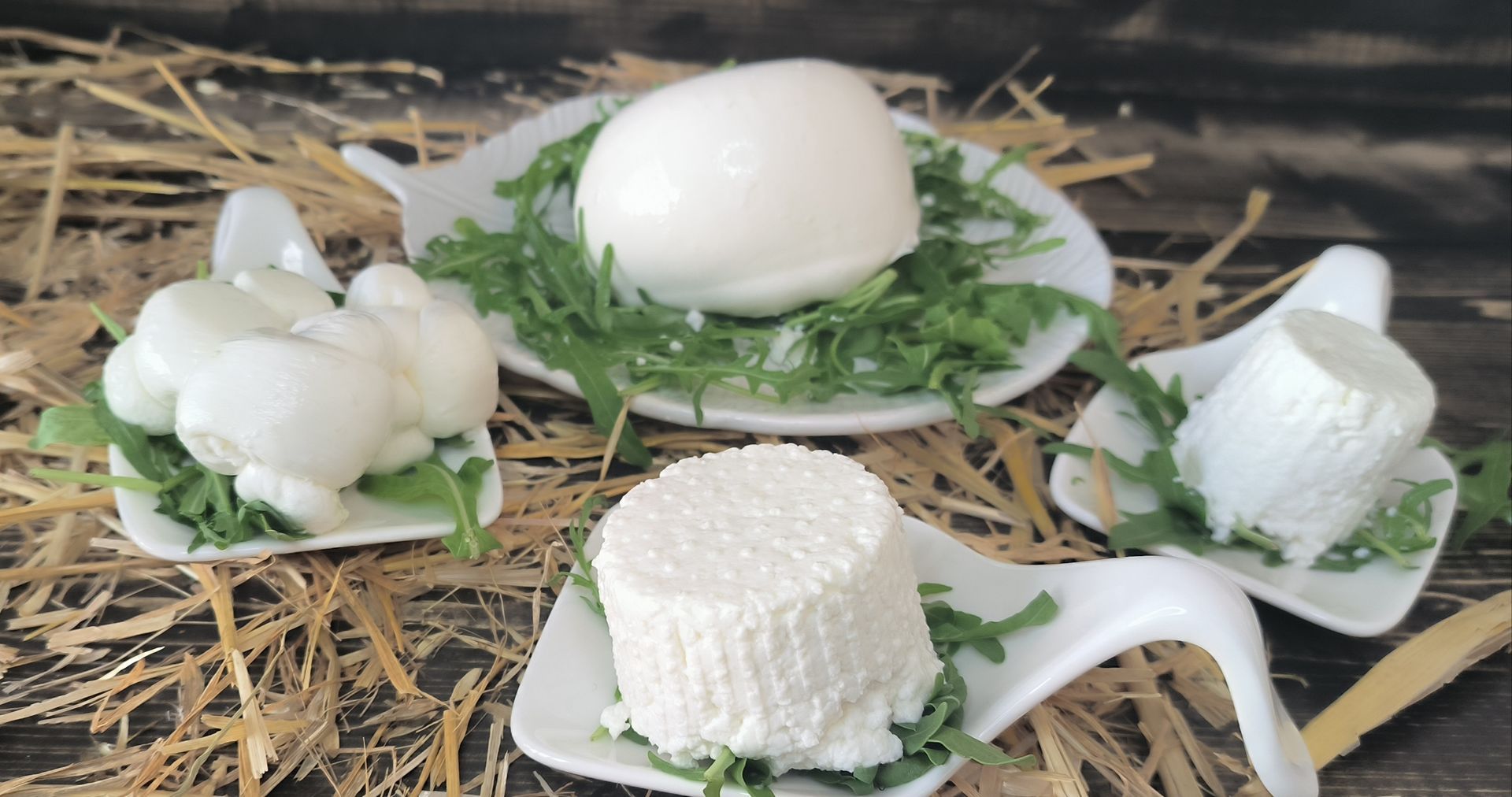 mozzarelle e ricotte