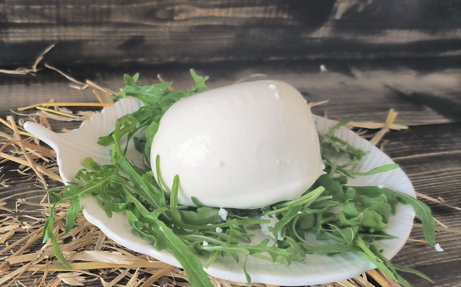 Mozzarella di bufala