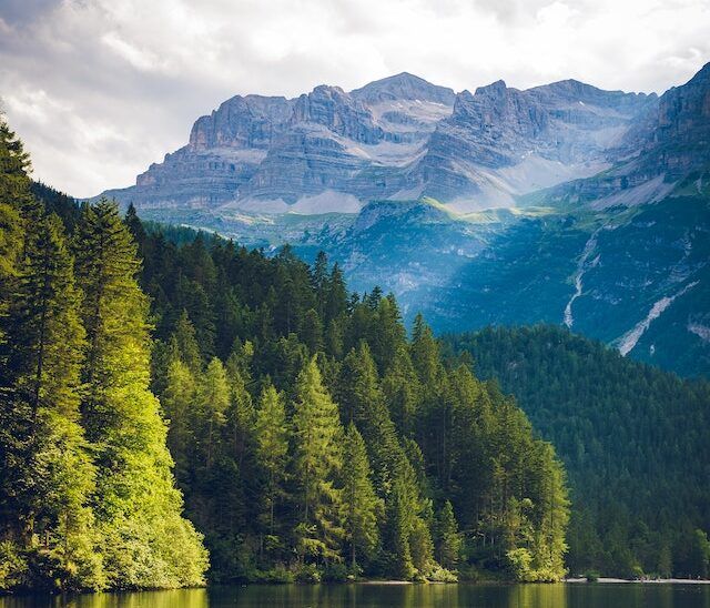A lake surrounded by trees with mountains in the background