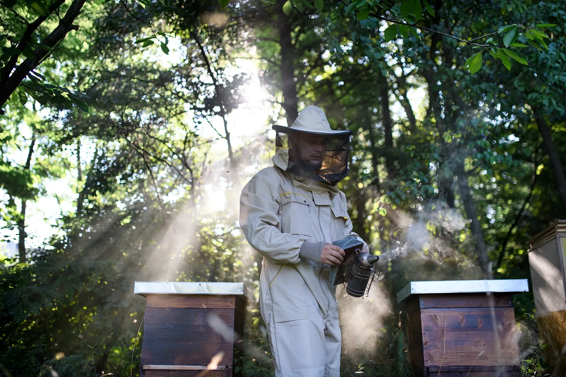 Ein Imker steht neben einem Bienenstock im Wald.