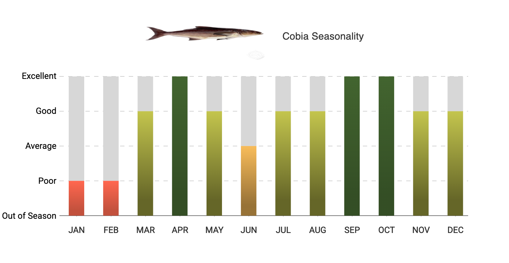 A graph showing the amount of fish caught in each month