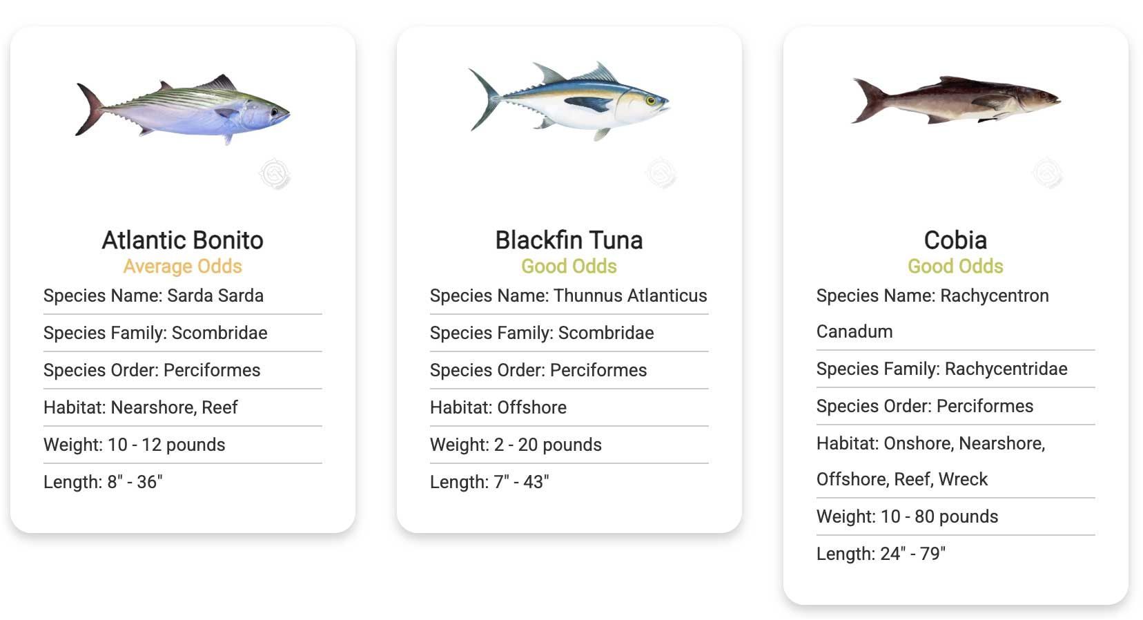 Three cards with different types of fish on them.