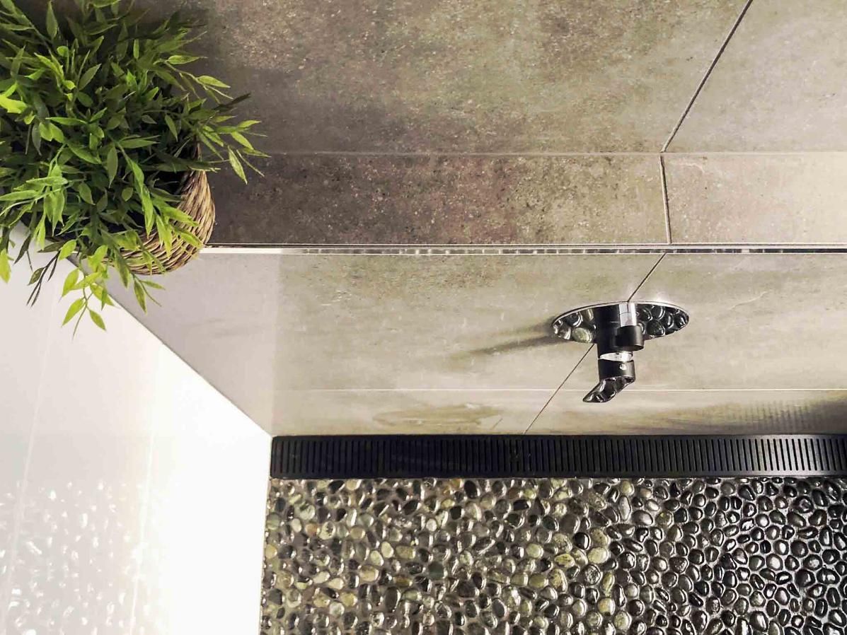 Plant is Sitting Next to a Shower Head in a Bathroom — Nyblad Construction in Caloundra West, QLD