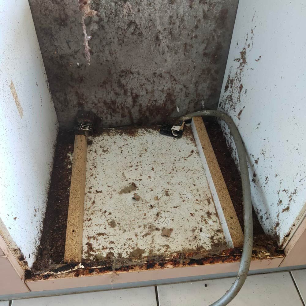 A Dirty Room With A Hose Coming Out Of It — Nyblad Construction in Caloundra West, QLD