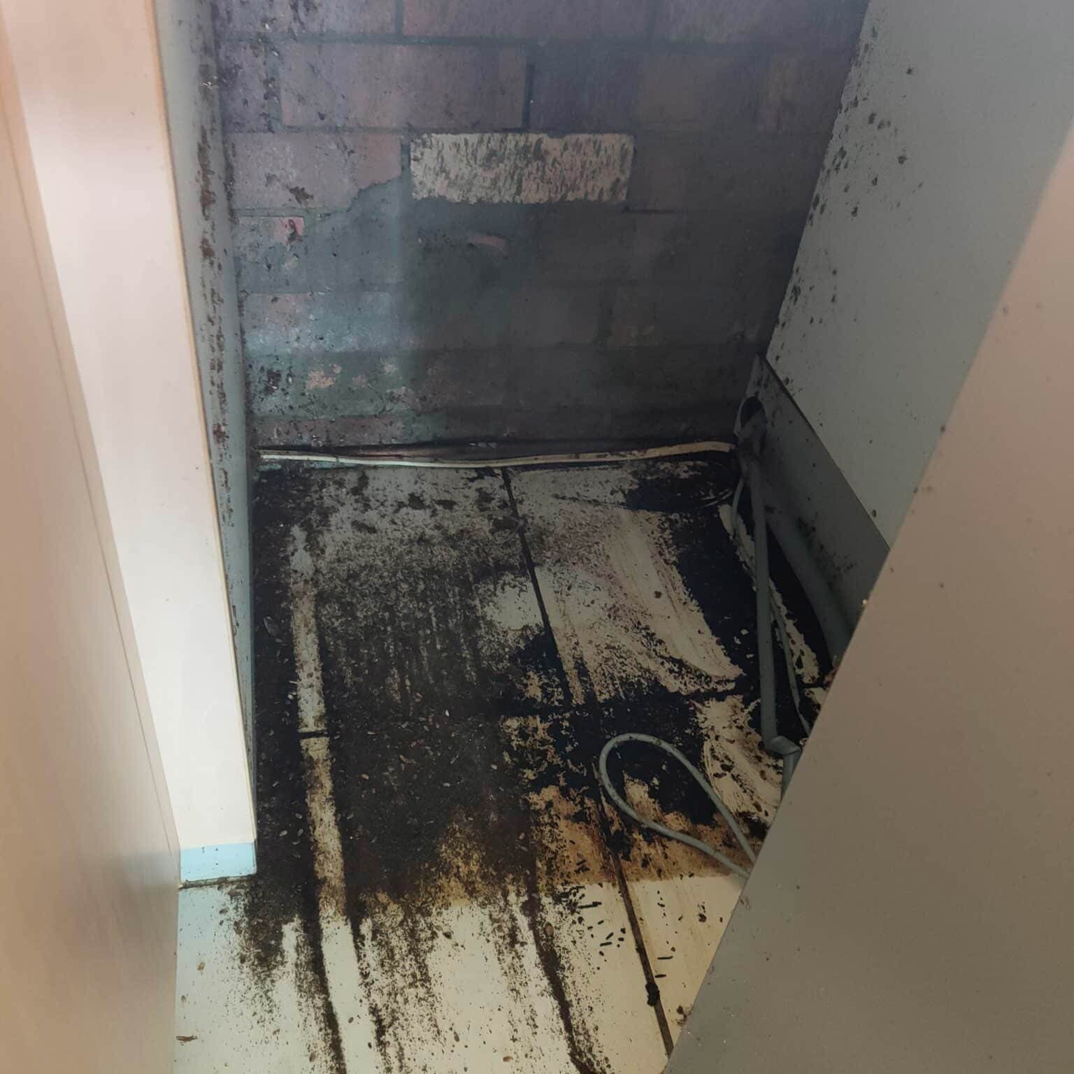 A Room With A Dirty Floor And A Brick Wall — Nyblad Construction in Caloundra West, QLD