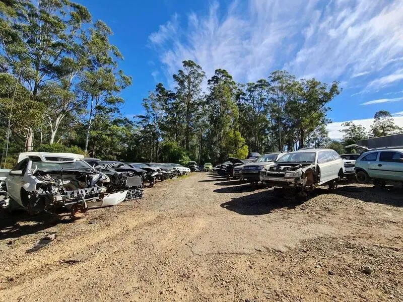 A Lot of Cars Are Parked in a Lot With Trees — Bago Auto Dismantlers in Bonny Hills, NSW