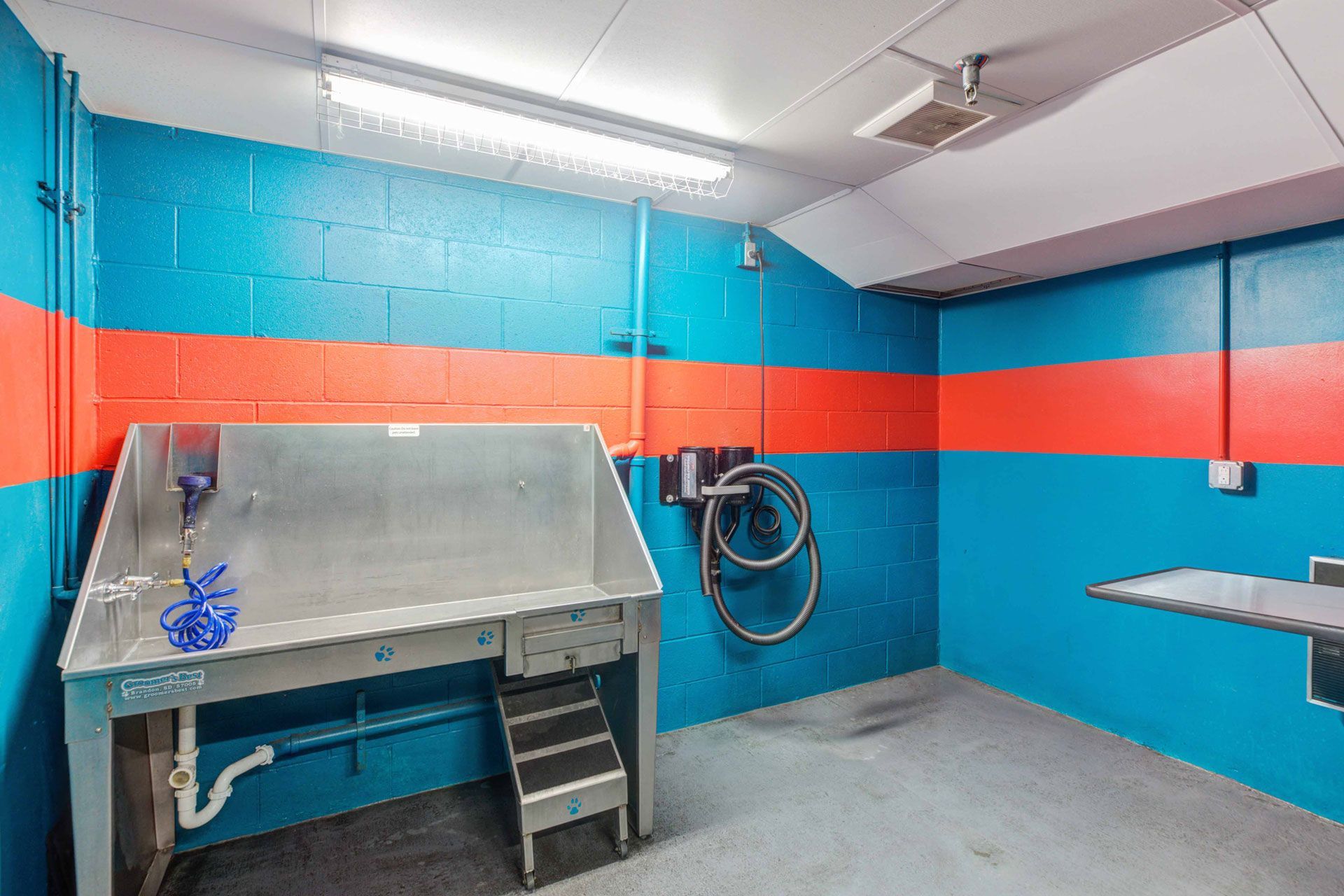 Communal pet washing station with a stainless tub, hose, and blue/orange walls.