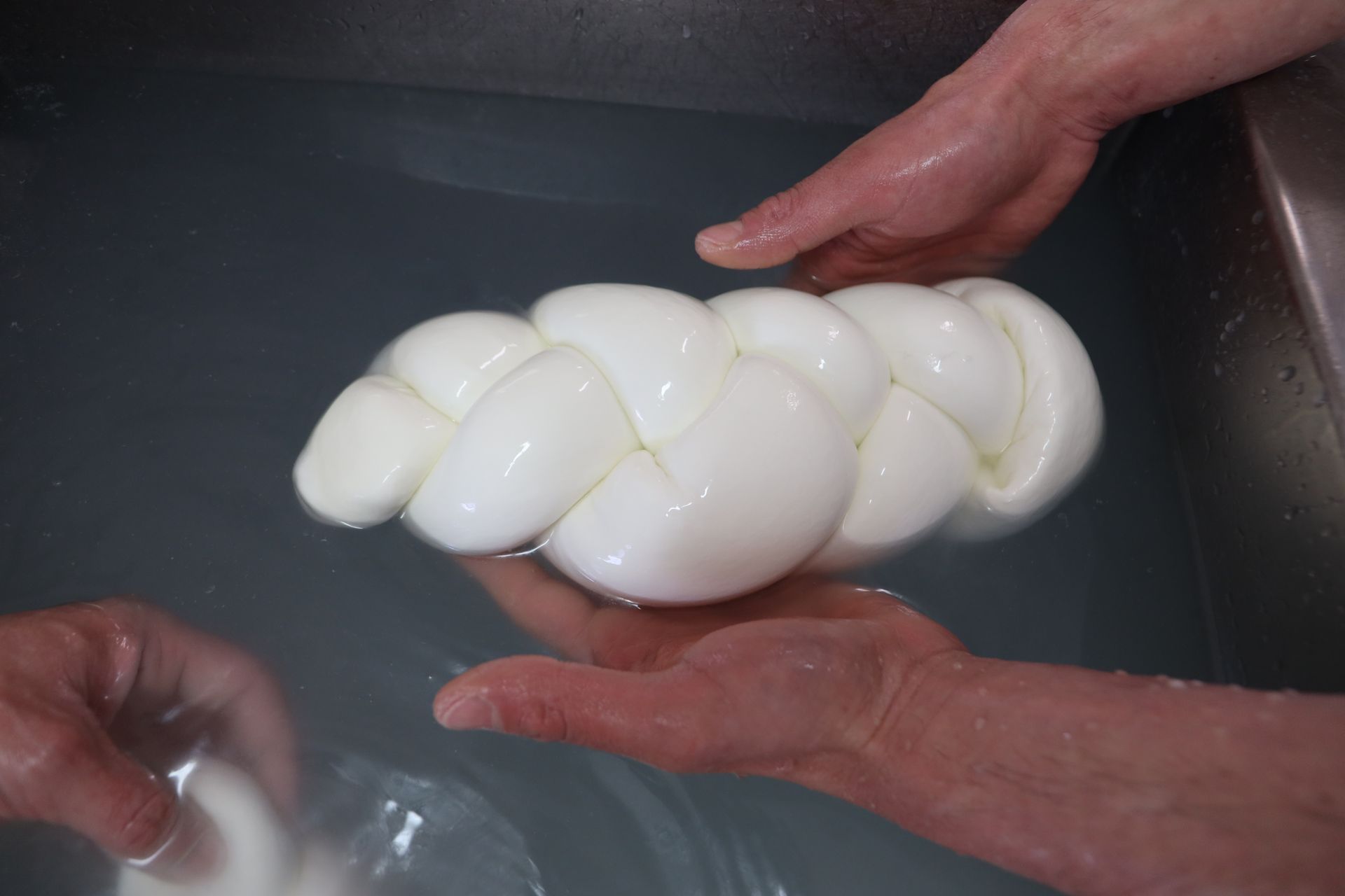 treccia mozzarella