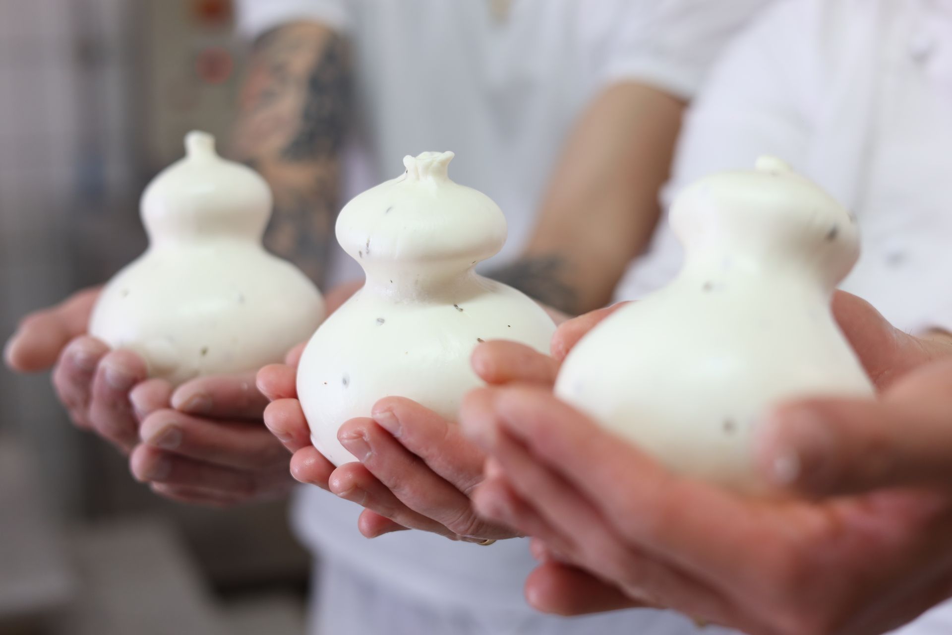 lavorazione macchinario mozzarella