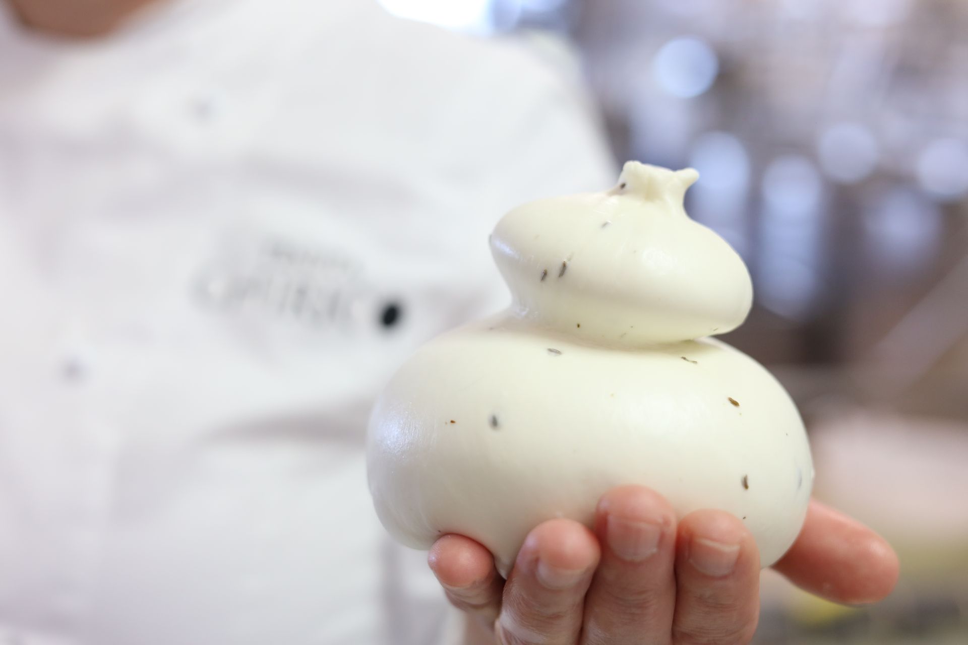 scamorza in primo piano