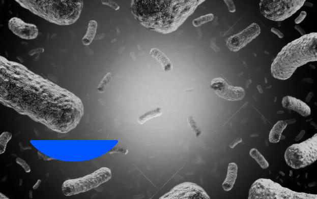 Image évoquant des contaminations bactériennes (bactéries), virales (virus), microbiennes (microbes)