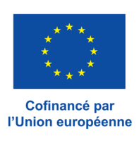 Un drapeau bleu avec des étoiles jaunes dans un cercle