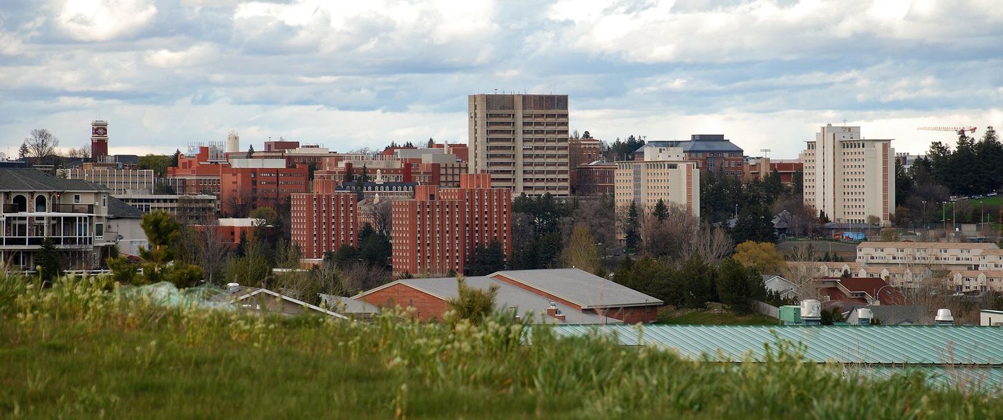 Pullman skyline