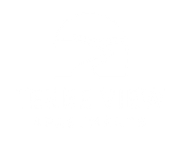 terre view logo