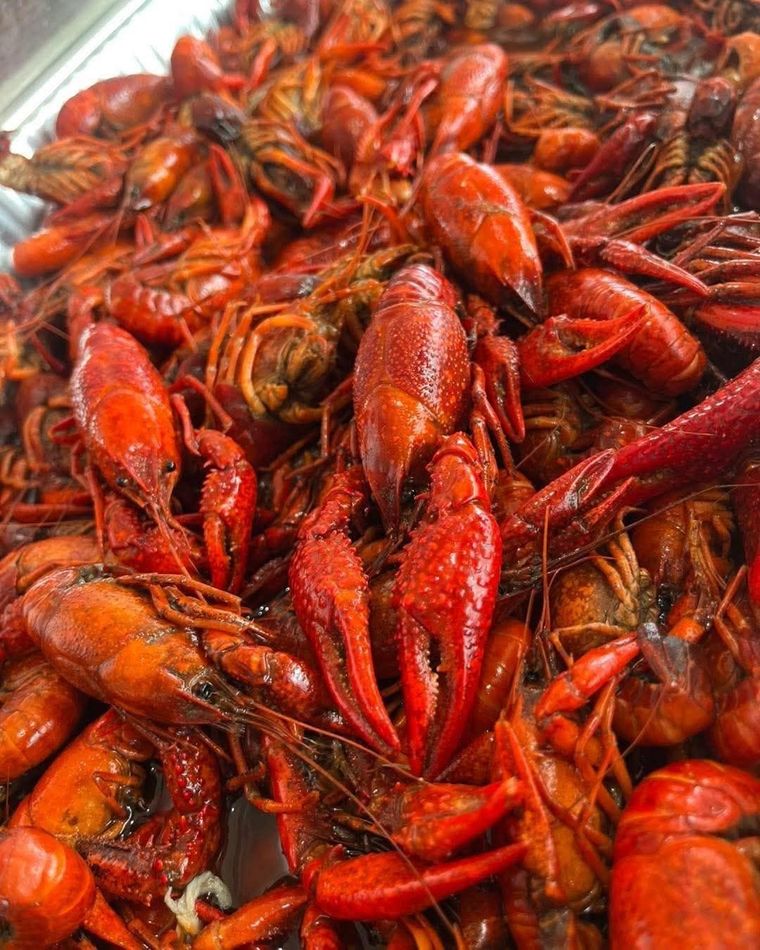 shrimp-runner-faq