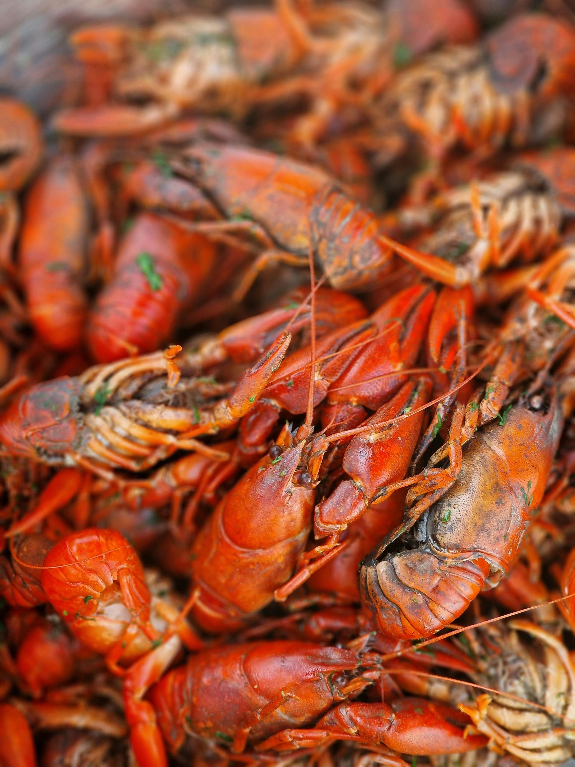 Pile of cooked, reddish-orange crawfish, close-up view.