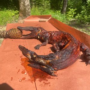Roasted alligator on brown butcher paper outdoors.