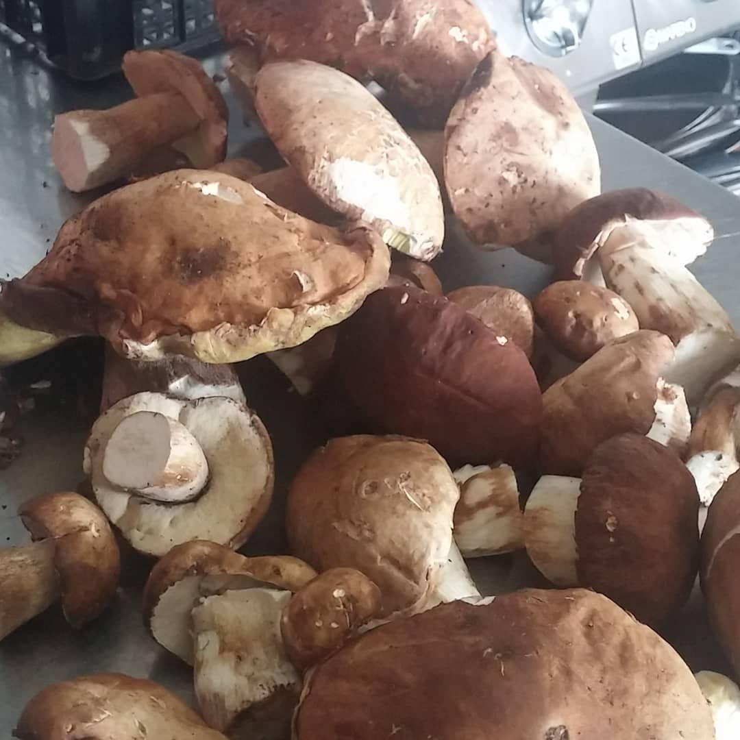 Un mucchio di funghi è appoggiato su un tavolo