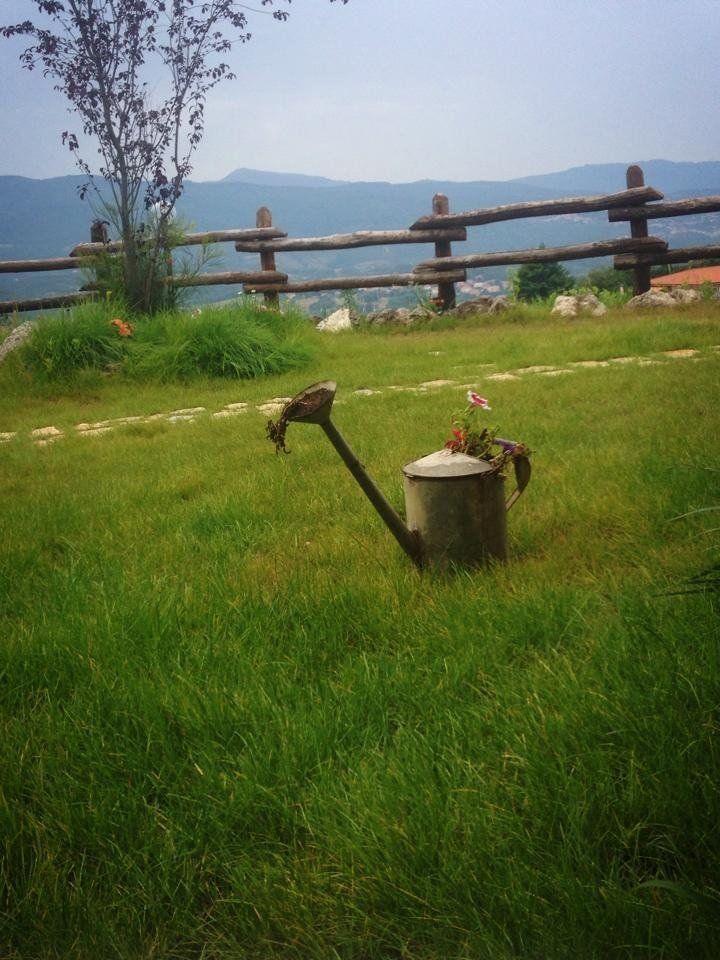 Un annaffiatoio con dei fiori dentro è appoggiato sull'erba vicino a una staccionata di legno