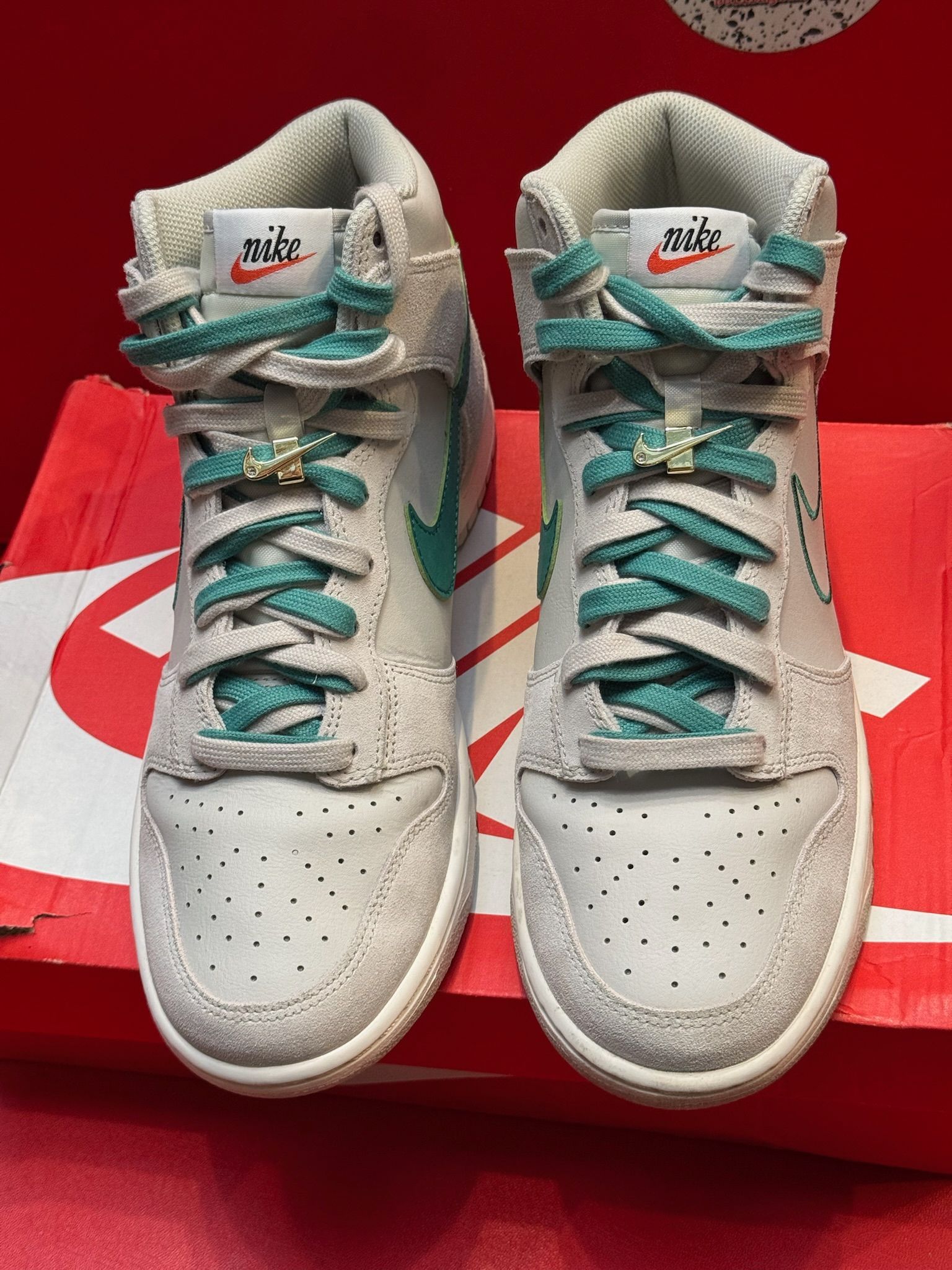 9.5M Nike Dunk High First Use Sail