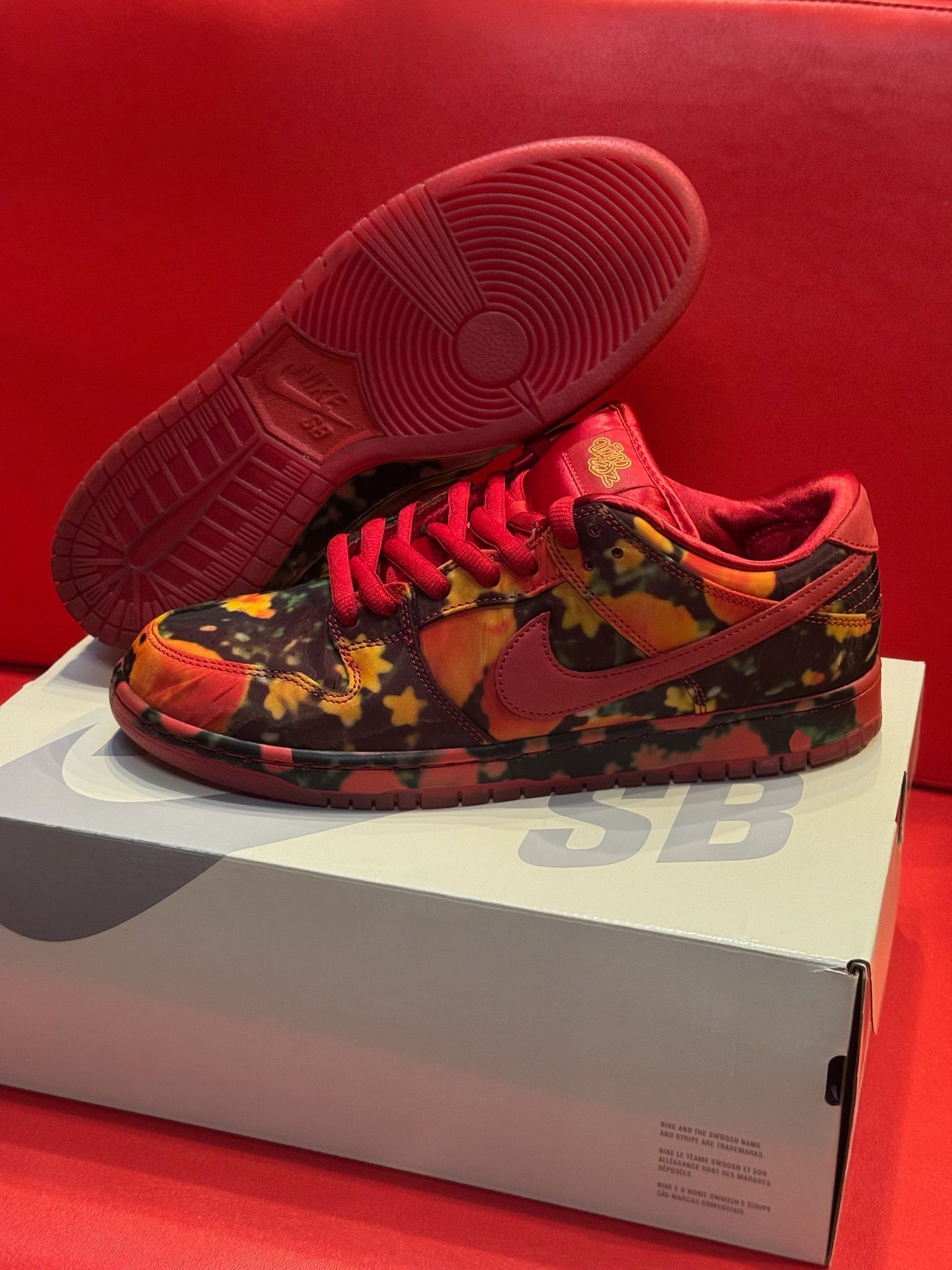 10.5M Nike SB Dunk Low Wizard of OZ 2