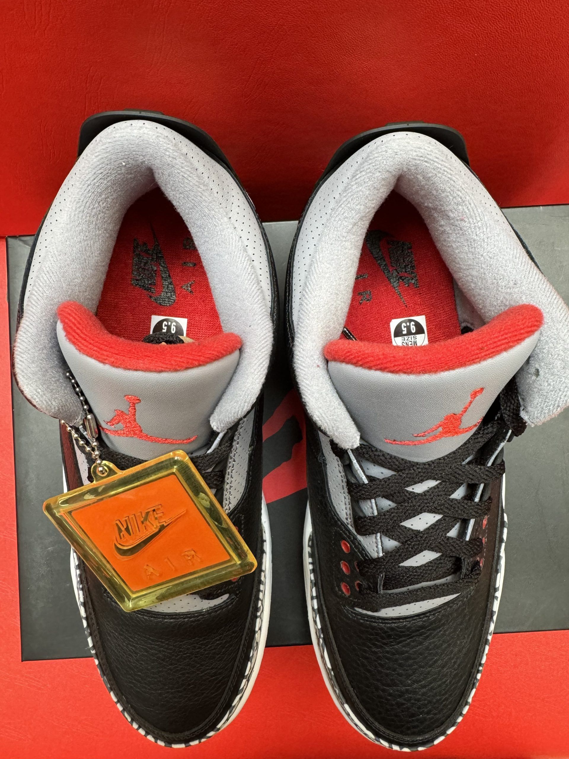 Air Jordan 3 black sneakers with elephant print, sitting on a black box, red background.